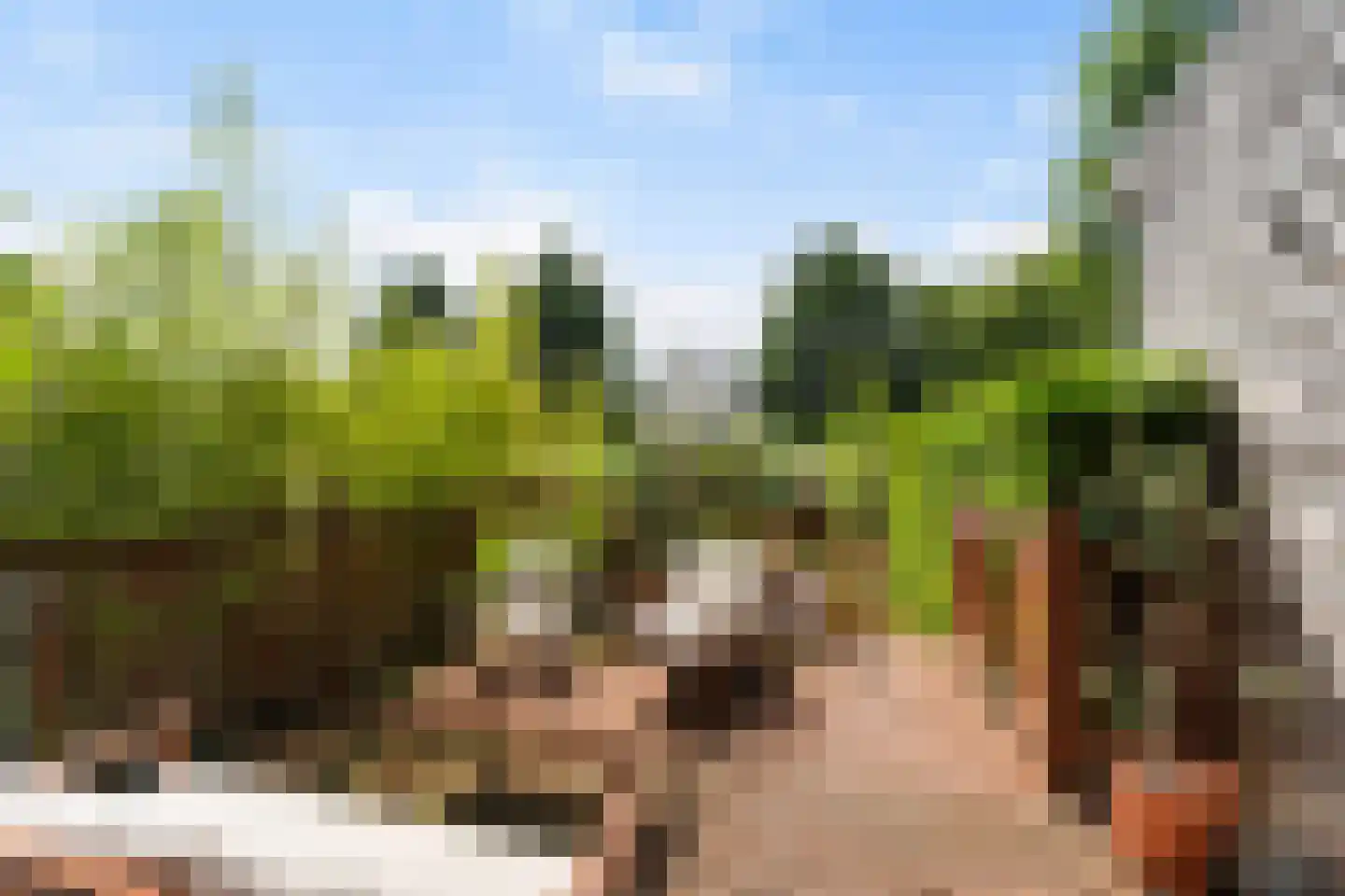 Overschiese Kleiweg 13 Rotterdam thumbnail 14