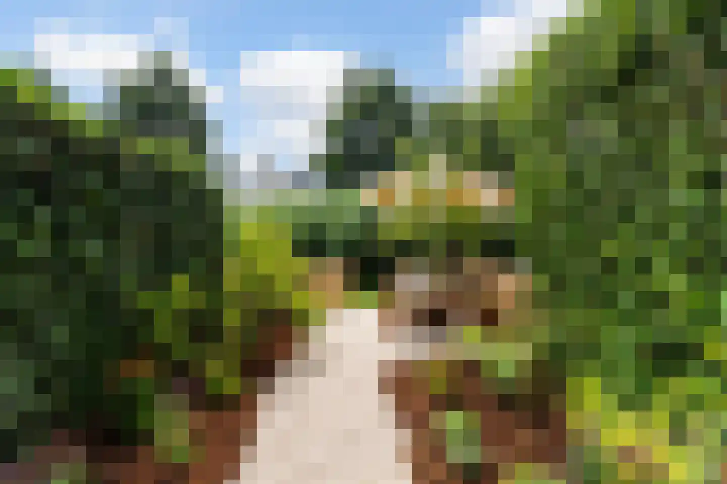Overschiese Kleiweg 13 Rotterdam thumbnail 18