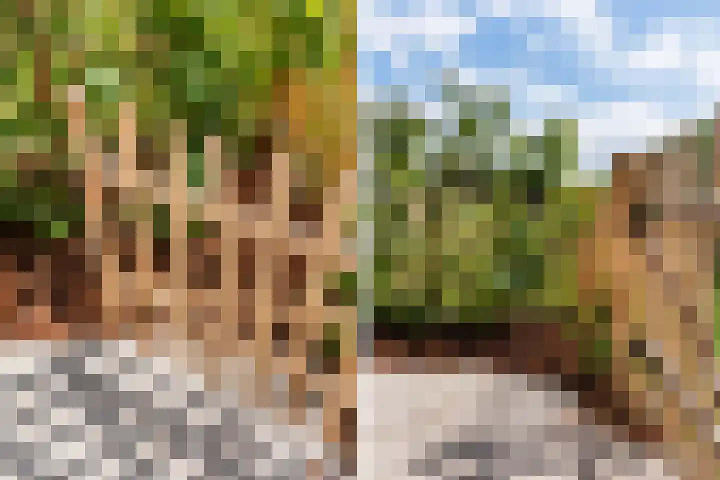 Overschiese Kleiweg 13 Rotterdam thumbnail 22