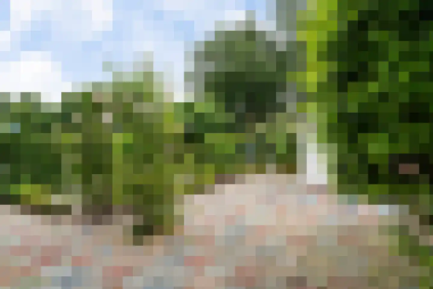 Overschiese Kleiweg 21 Rotterdam thumbnail 13