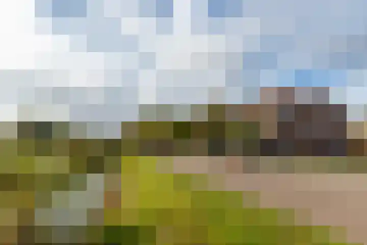 Overschiese Kleiweg 661 Rotterdam thumbnail 4