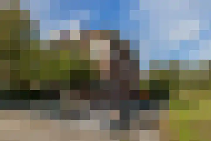 Overschiese Kleiweg 661 Rotterdam thumbnail 44