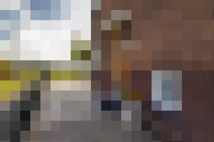 Overschiese Kleiweg 661 Rotterdam thumbnail 45