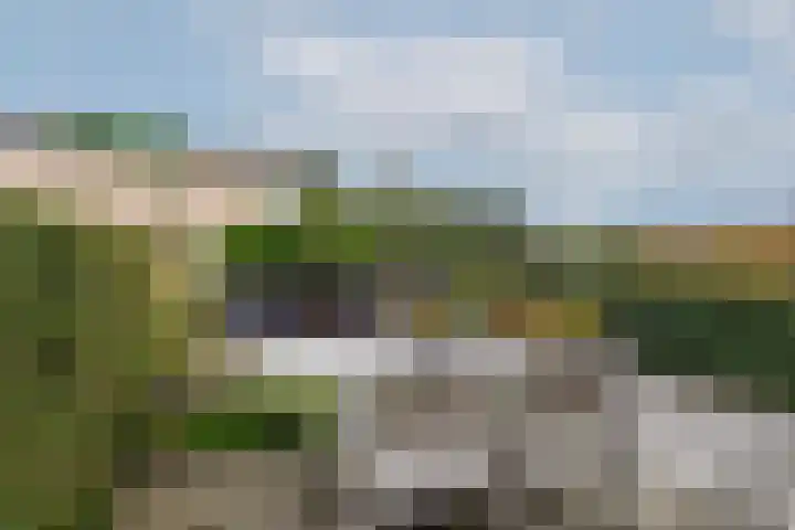 Overschiese Kleiweg 661 Rotterdam thumbnail 47