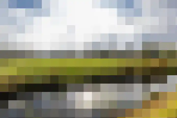 Overschiese Kleiweg 661 Rotterdam thumbnail 5