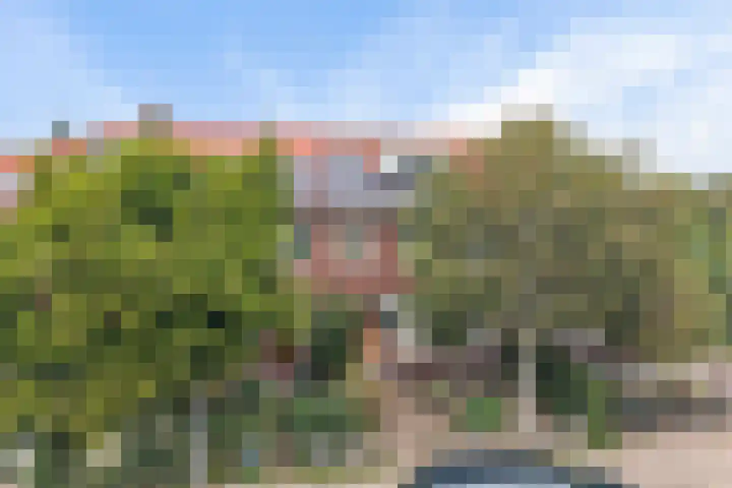 Overschiese Kleiweg 663 Rotterdam thumbnail 10