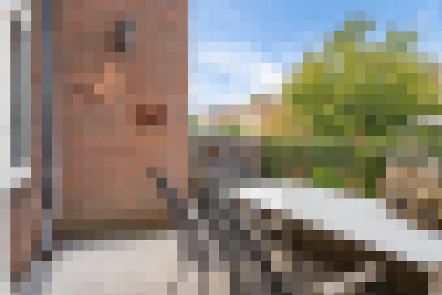 Overschiese Kleiweg 663 Rotterdam thumbnail 25