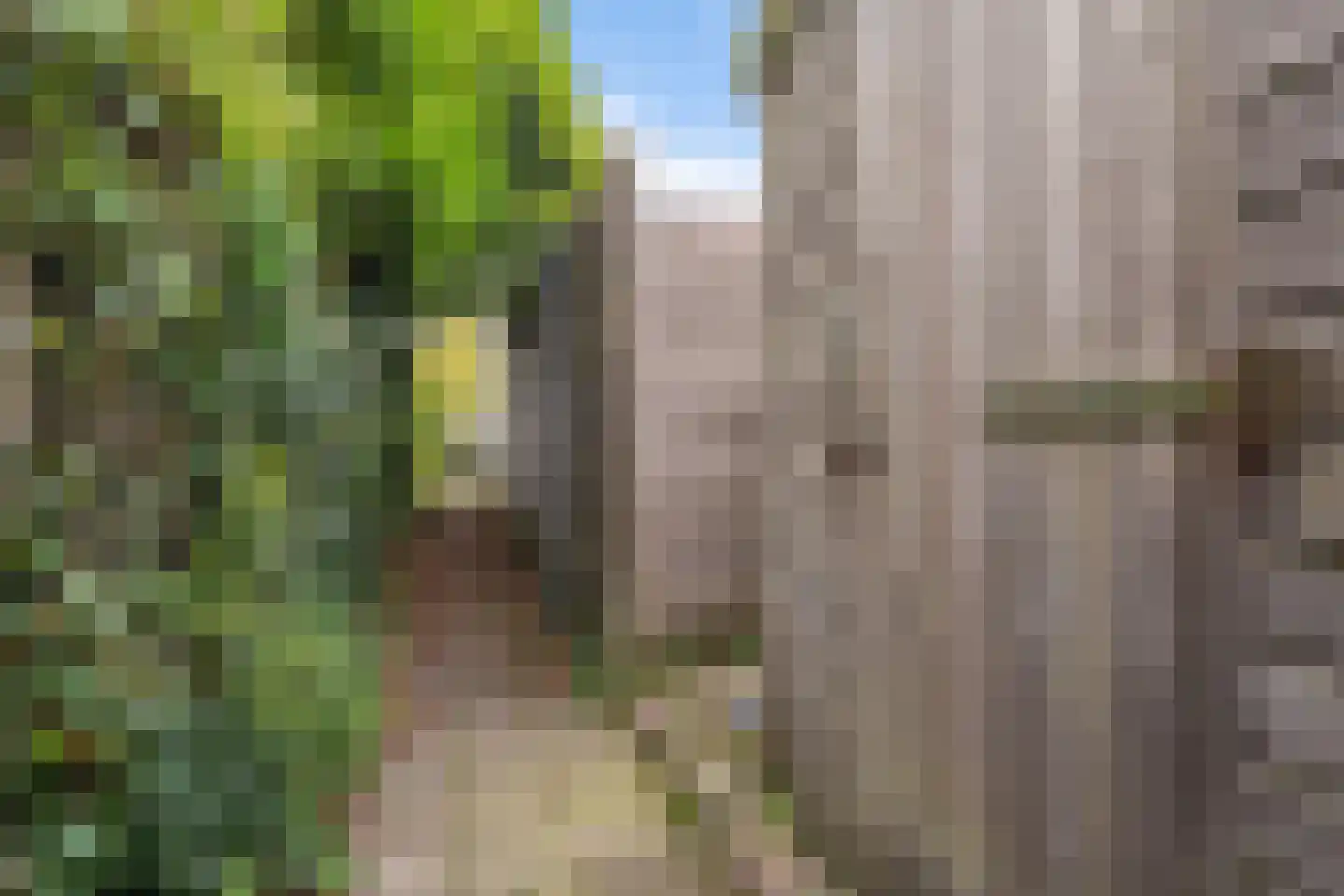 Overschiese Kleiweg 663 Rotterdam thumbnail 35
