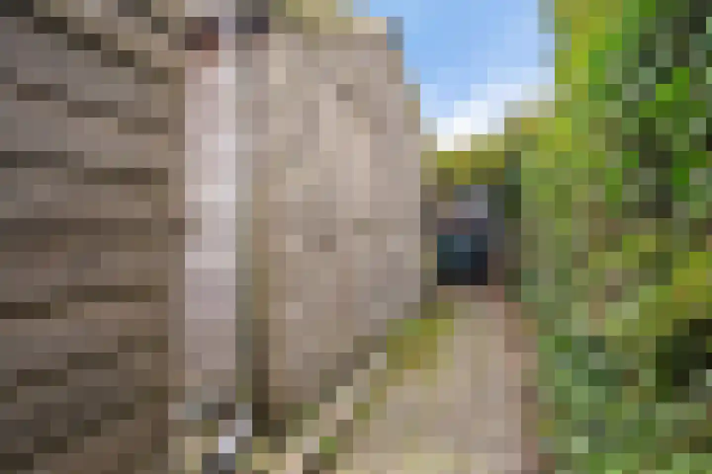 Overschiese Kleiweg 663 Rotterdam thumbnail 36