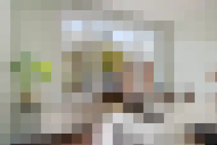 Overschiese Kleiweg 667 Rotterdam thumbnail 31