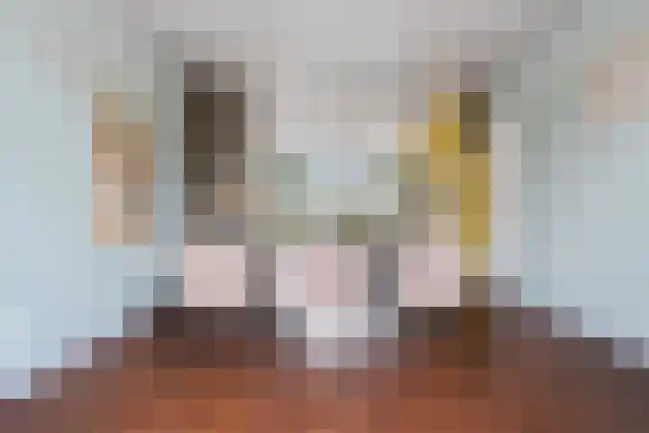 Overschiese Kleiweg 667 Rotterdam thumbnail 33