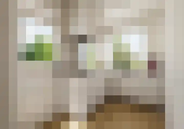 Overschiese Kleiweg 667 Rotterdam thumbnail 34