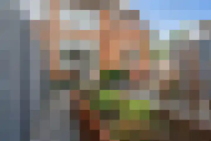 Overschiese Kleiweg 667 Rotterdam thumbnail 40