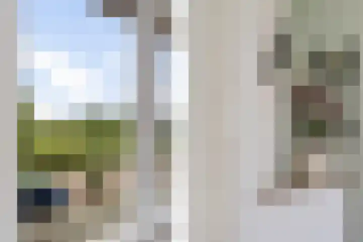Overschiese Kleiweg 667 Rotterdam thumbnail 56