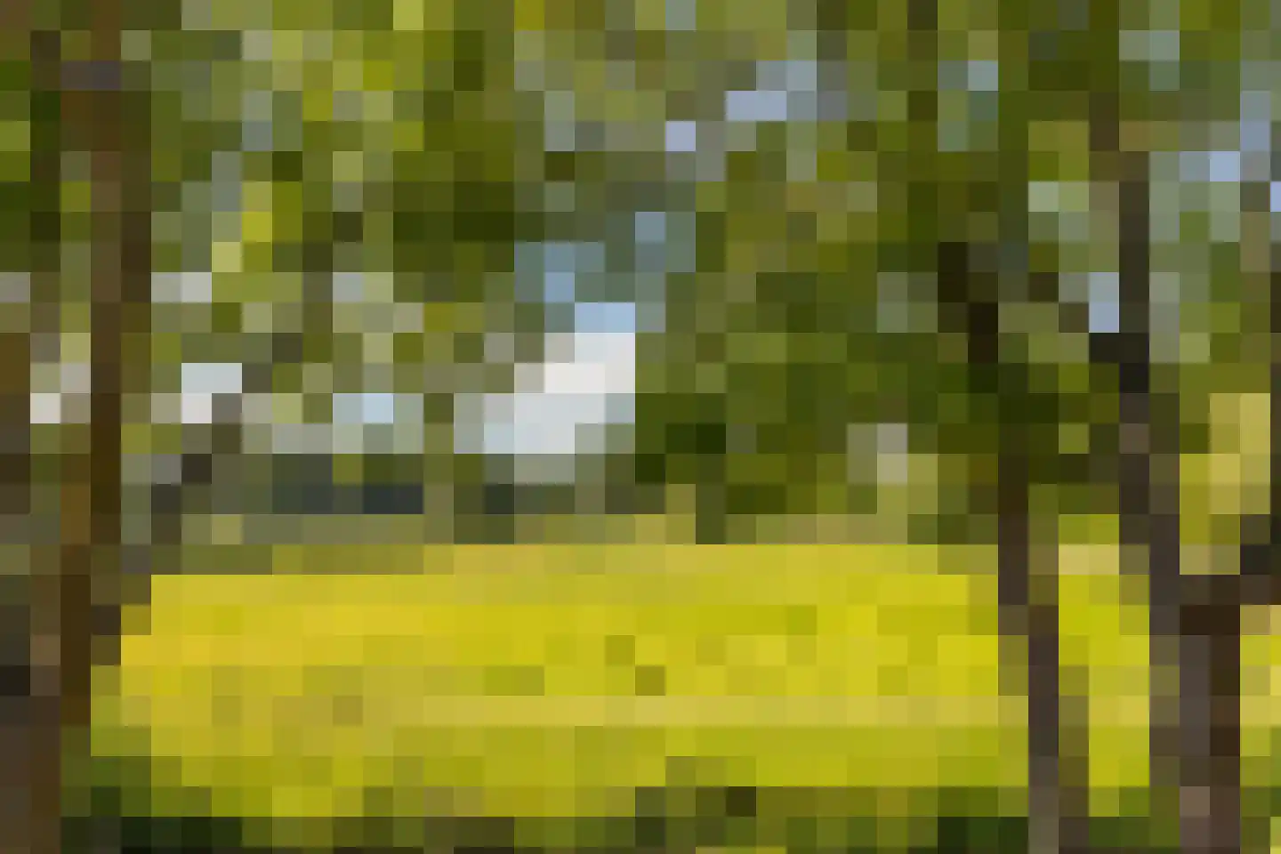 Overschiese Kleiweg 675 Rotterdam thumbnail 15