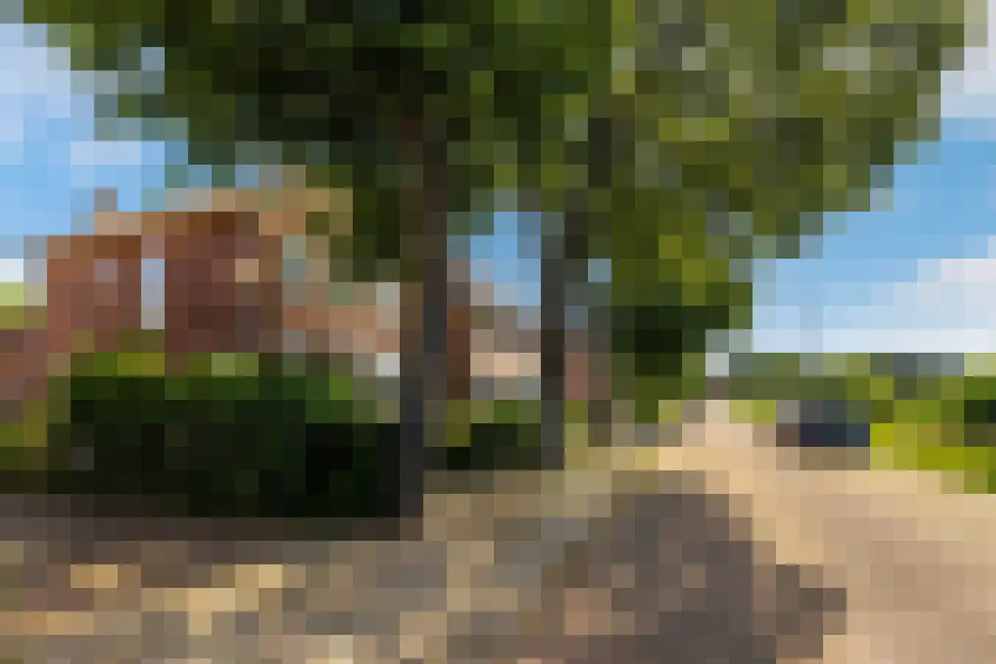Overschiese Kleiweg 675 Rotterdam thumbnail 25