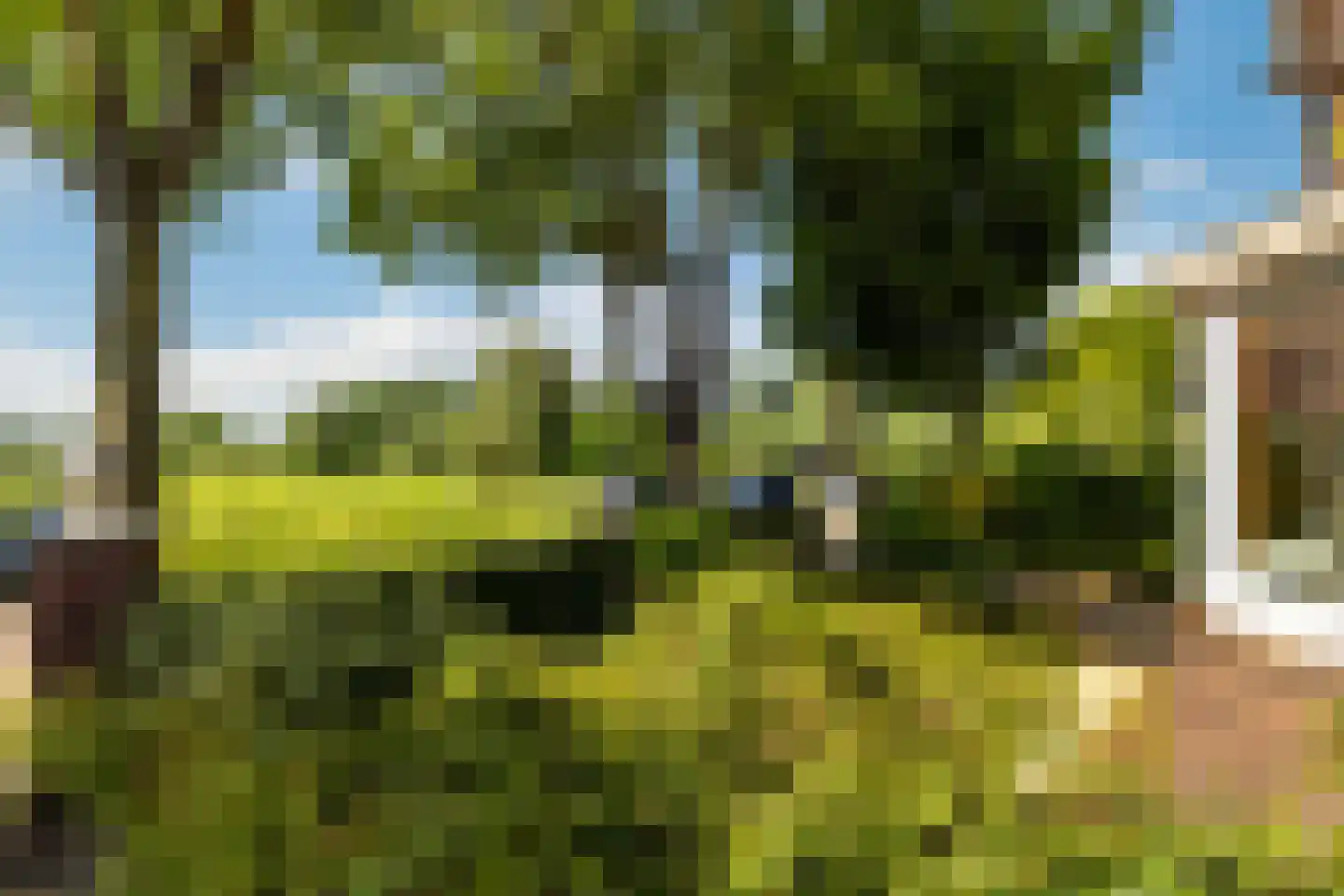 Overschiese Kleiweg 675 Rotterdam thumbnail 4