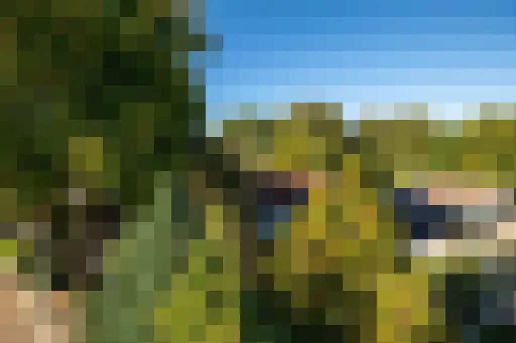 Overschiese Kleiweg 689 Rotterdam thumbnail 13