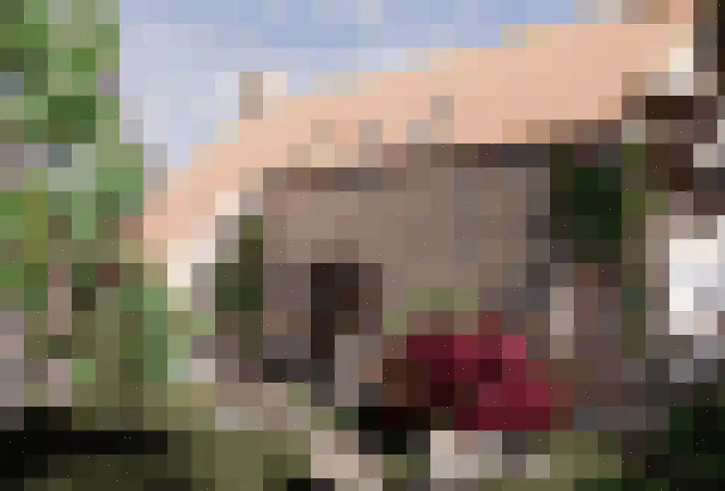 Overschiese Kleiweg 689 Rotterdam thumbnail 4