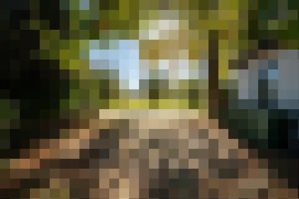 Overschiese Kleiweg 689 Rotterdam thumbnail 9