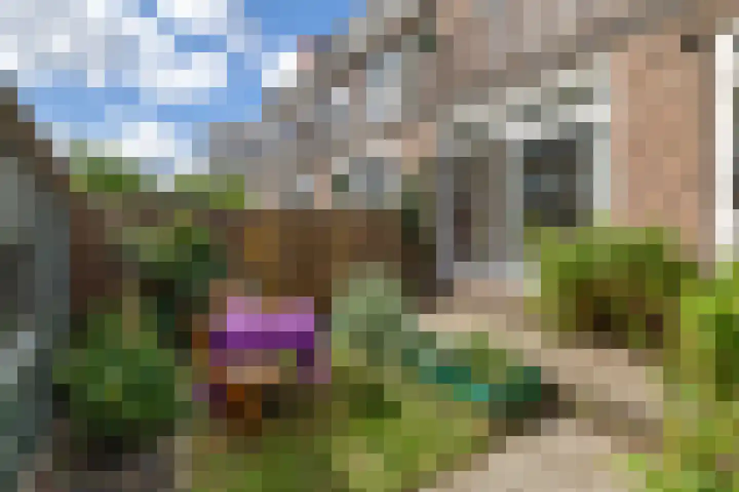 Overschiesestraat 50 A Schiedam thumbnail 25