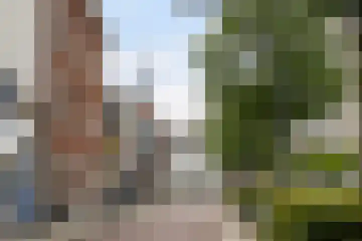 Overschiesestraat 72 C Schiedam thumbnail 48