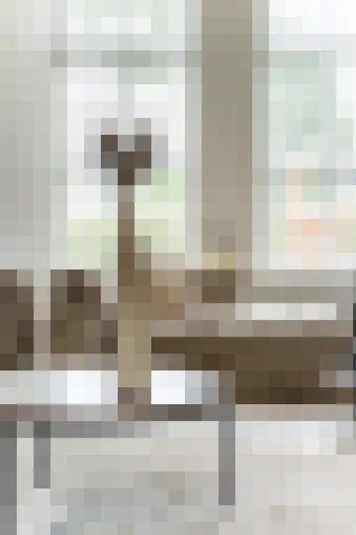 Overschiesestraat 72 C Schiedam thumbnail 6
