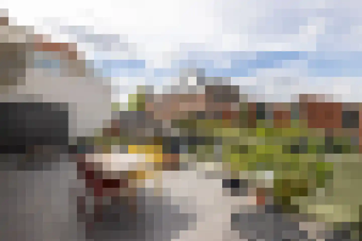 Overschieseweg 6 A Rotterdam thumbnail 32