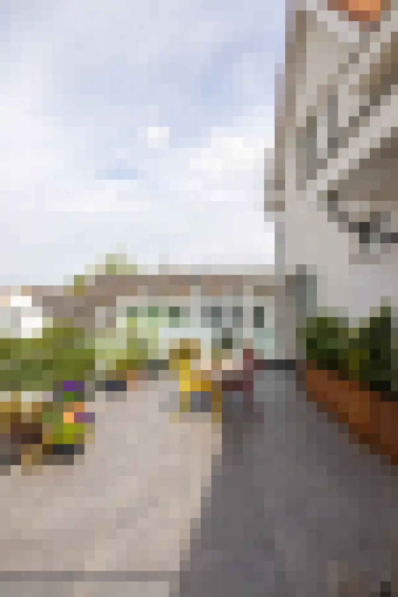 Overschieseweg 6 A Rotterdam thumbnail 33