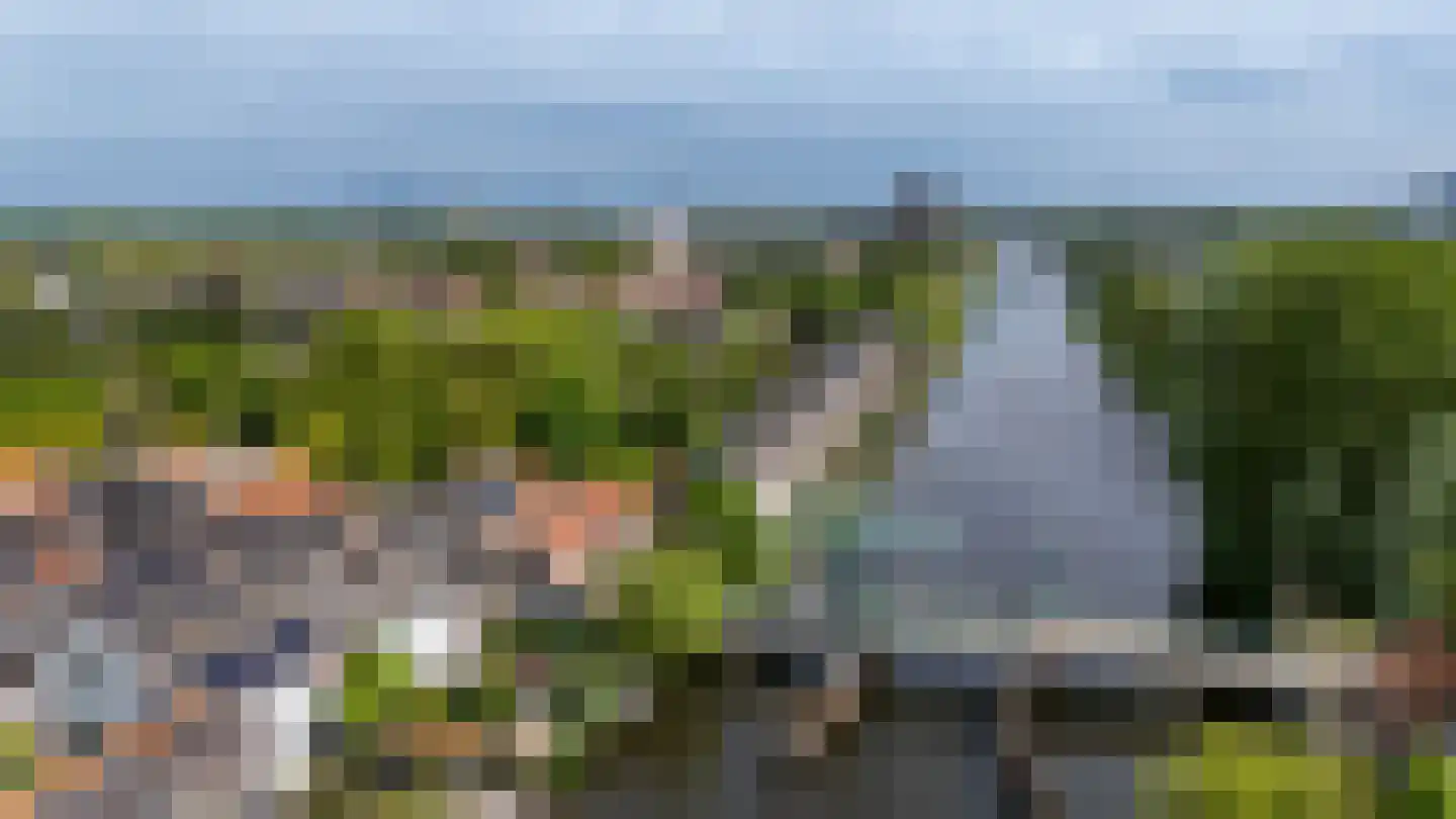 Overschieseweg 6 A Rotterdam thumbnail 35