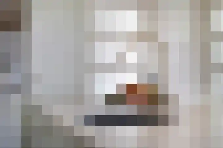 Overschot 9 Bakel thumbnail 11