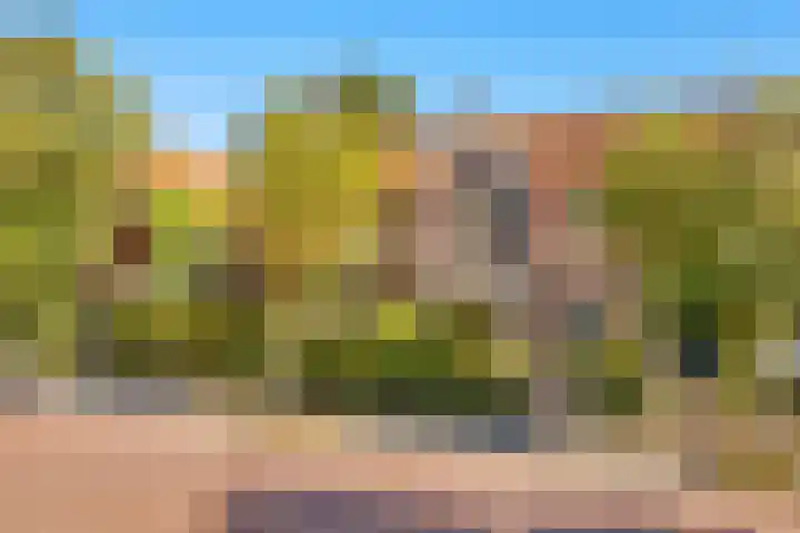 Overschot 9 Bakel thumbnail 13