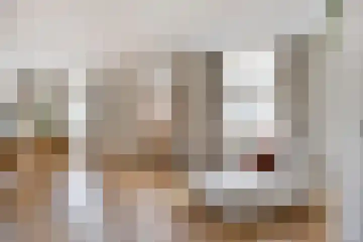 Overschot 9 Bakel thumbnail 17