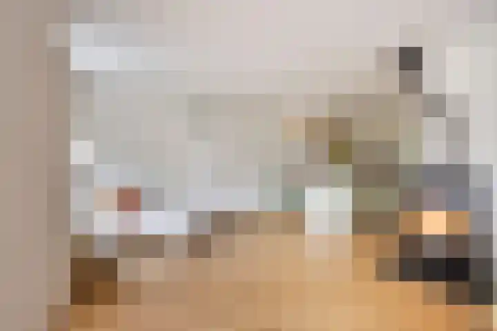 Overschot 9 Bakel foto 2