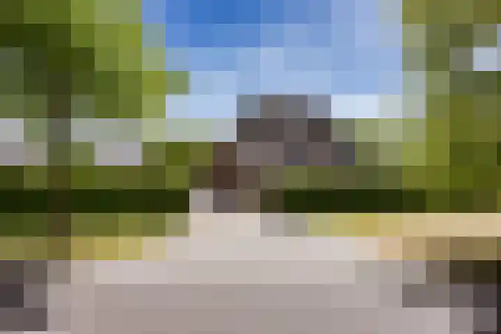 Overschot 9 Bakel thumbnail 24