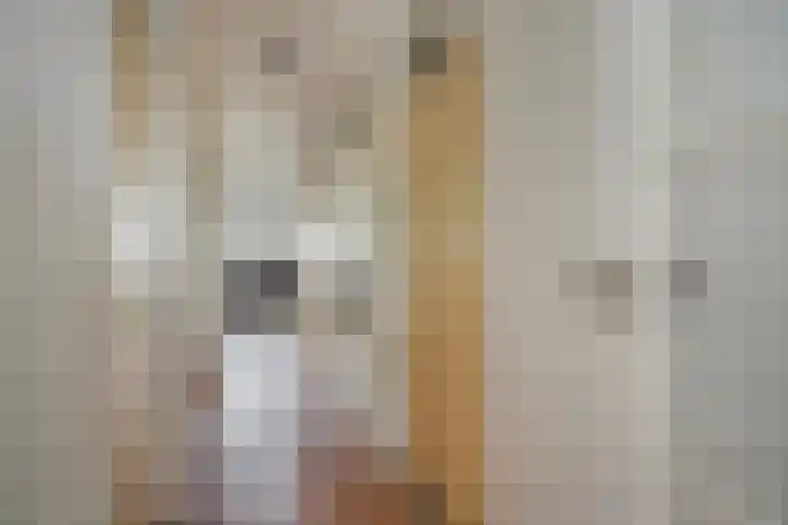 Overschot 9 Bakel thumbnail 27
