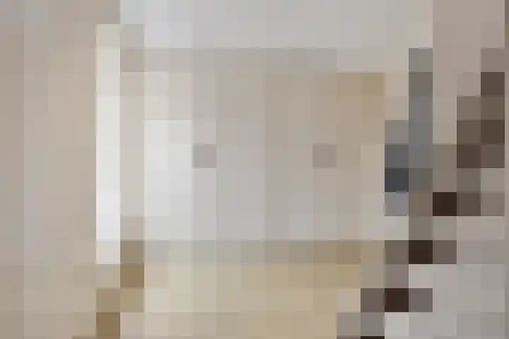 Overschot 9 Bakel thumbnail 33