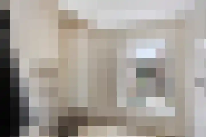 Overschot 9 Bakel thumbnail 34