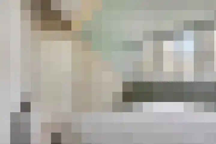 Overschot 9 Bakel thumbnail 37