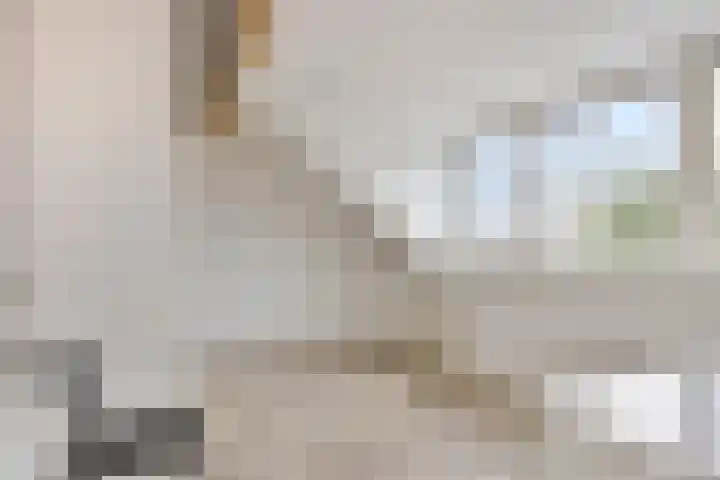Overschot 9 Bakel thumbnail 38