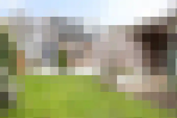 Overschot 9 Bakel thumbnail 44