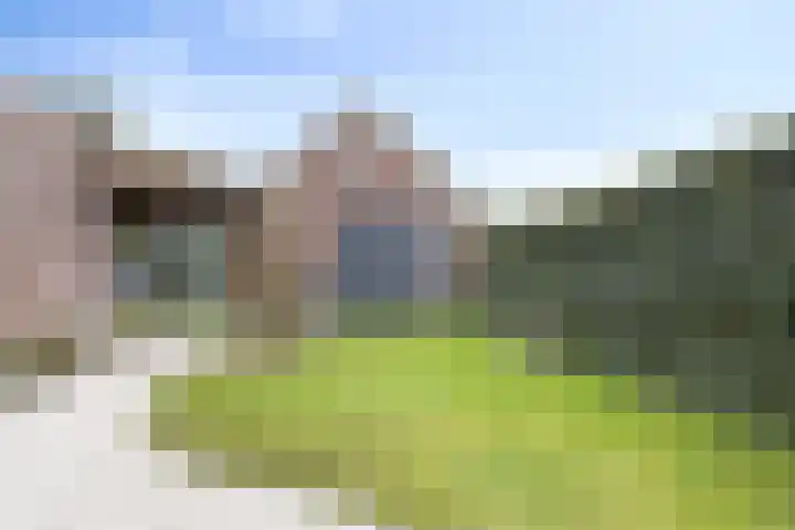 Overschot 9 Bakel thumbnail 46