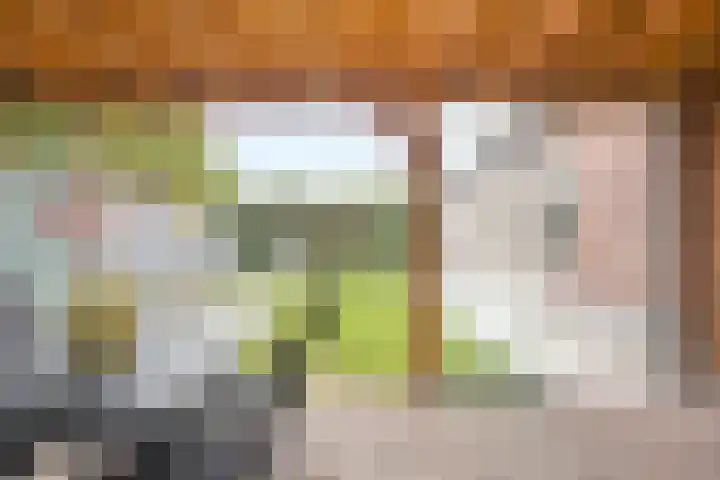 Overschot 9 Bakel thumbnail 50
