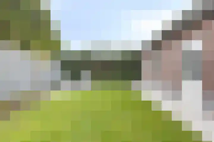 Overschot 9 Bakel thumbnail 51