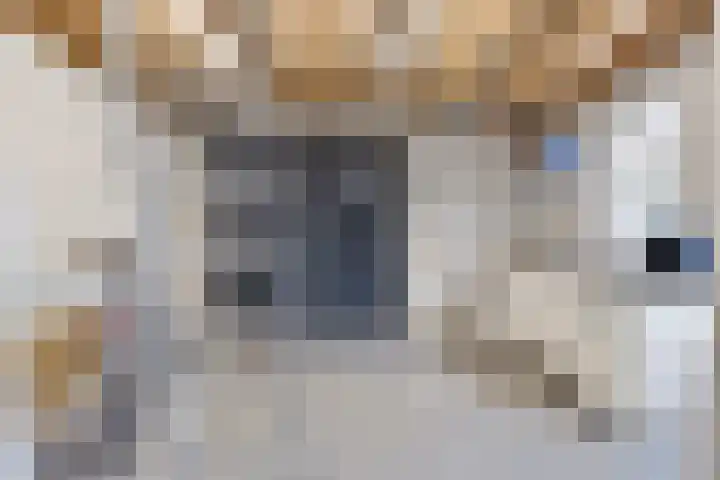 Overschot 9 Bakel thumbnail 55