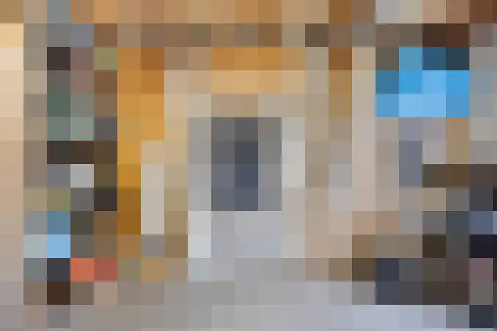 Overschot 9 Bakel thumbnail 56
