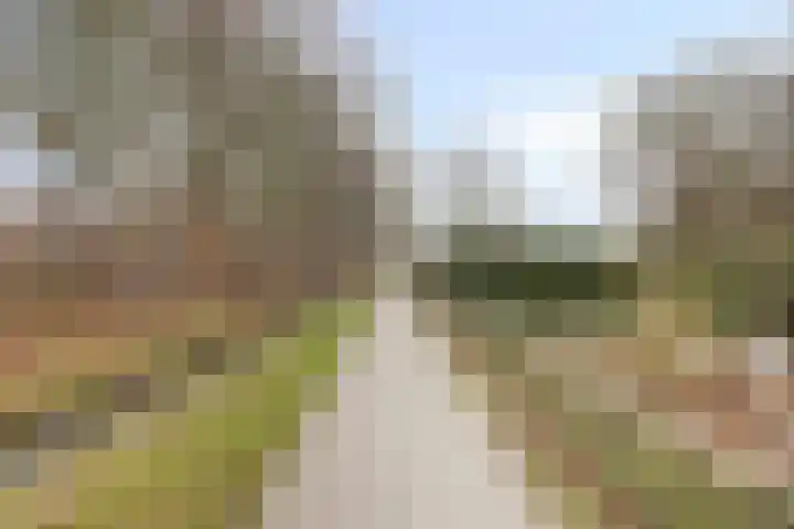 Overschot 9 Bakel thumbnail 60