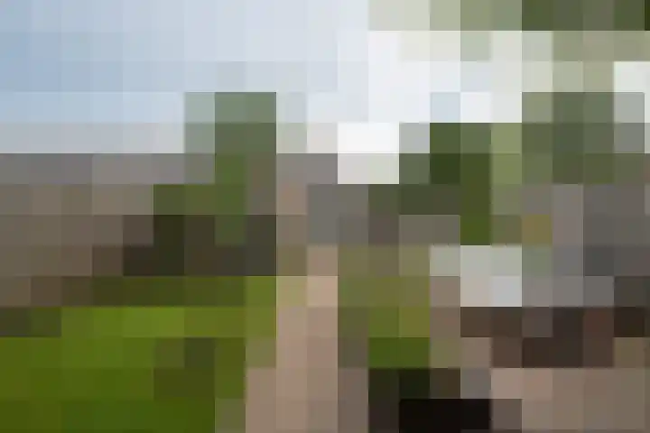 Overschot 9 Bakel thumbnail 63