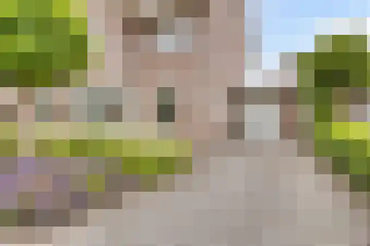 Overslaggronden 21 Kampen thumbnail 12