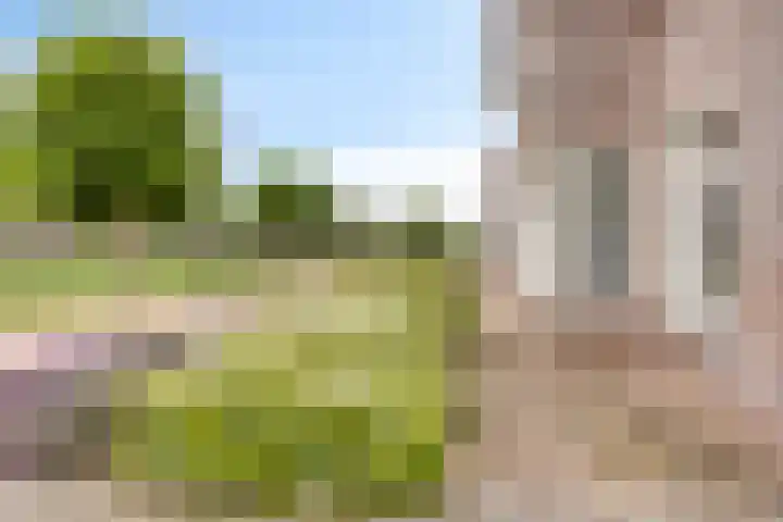 Overslaggronden 21 Kampen thumbnail 14